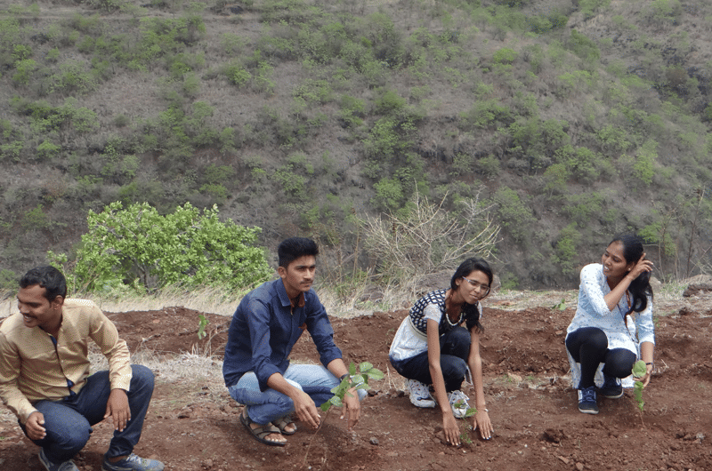 Dr. D.Y. Patil School of Hospitality and Tourism Tathawade Tree Plantation photo 2